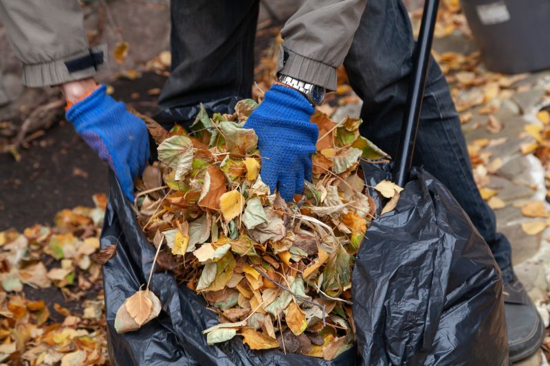 Leaf Collection Strategies