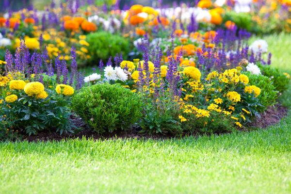 Flower Bed Maintenance in Glendale