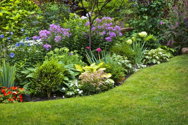 Flower Bed Service in Glendale