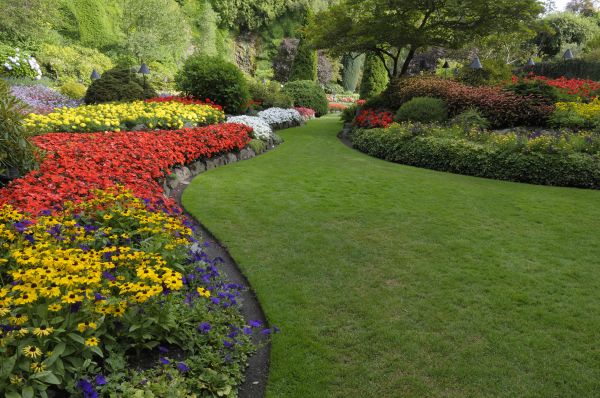 Landscaping Maintenance in Glendale
