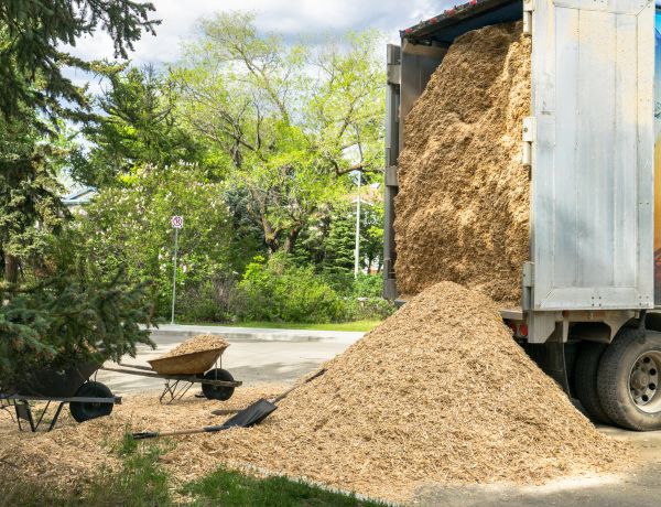 Wood Chips Delivery in Glendale