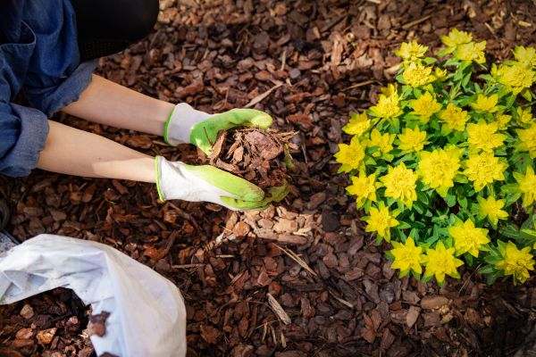 Garden Mulching in Glendale