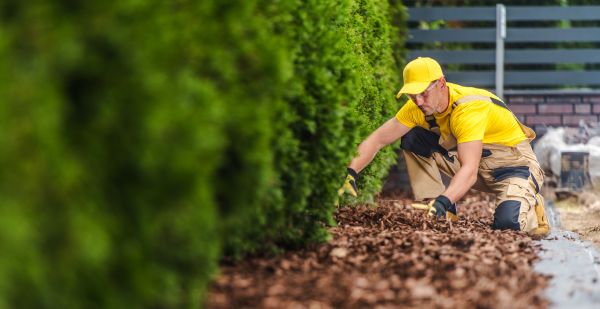 Cypress Mulch Installation in Glendale