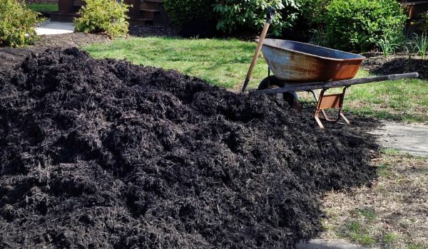 Black Mulch Installation in Glendale