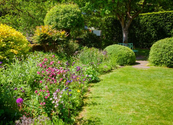 Yard Landscaping Service in Glendale
