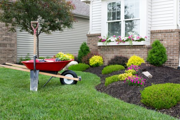 Tree And Shrub Planting in Glendale