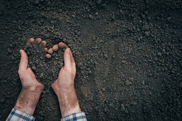 Soil Installation in Glendale