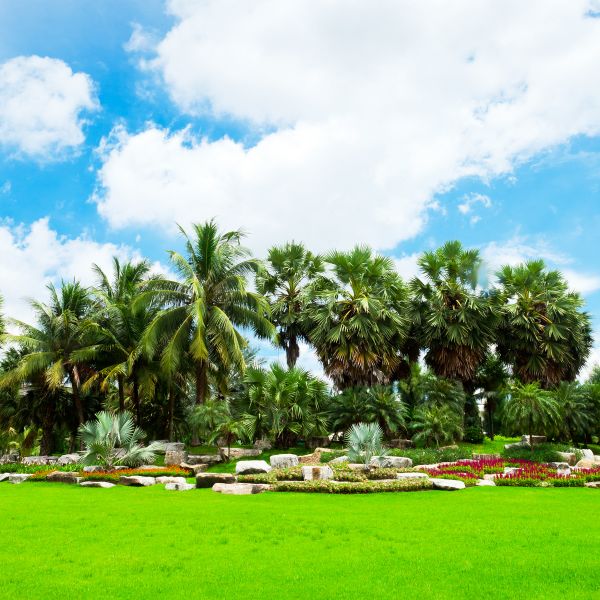 Tropical Landscaping in Glendale