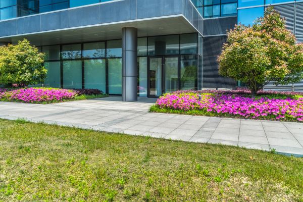 Commercial Gardening in Glendale