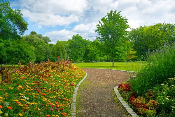Park Landscaping in Glendale