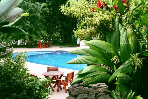 Tropical Garden Landscaping in Glendale