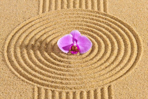 Sand Garden Landscaping in Glendale