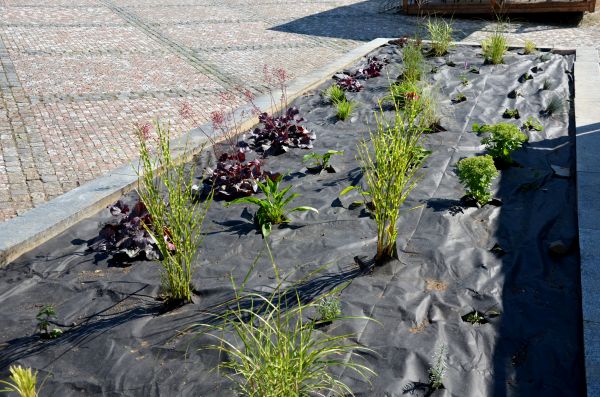 Landscape Fabric Installation in Glendale