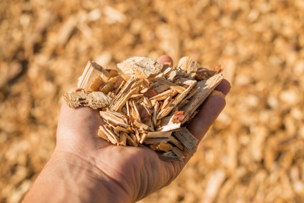 Wood Chips Spreading in Glendale