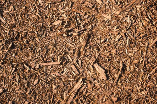 Wood Chips Removal in Glendale