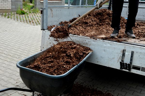 Mulch Application Service