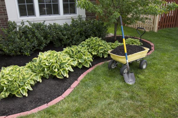 Landscape Mulching in Glendale