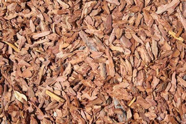 Pine Mulch Delivery in Glendale