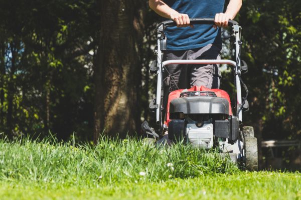 Garden Trimming Service in Glendale
