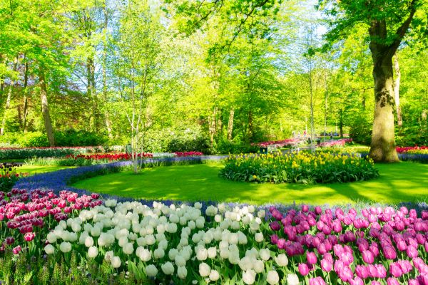 Flower Landscaping in Glendale