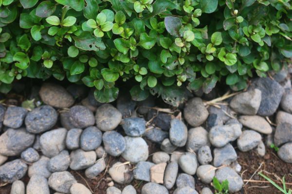 River Stone Installation in Glendale