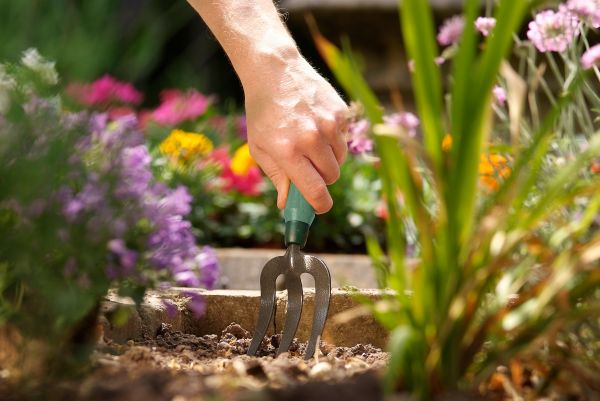 Flower Patch Weeding