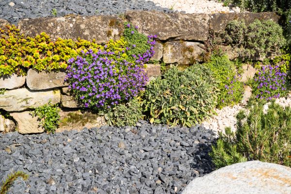 Landscaping Rocks Installation in Glendale