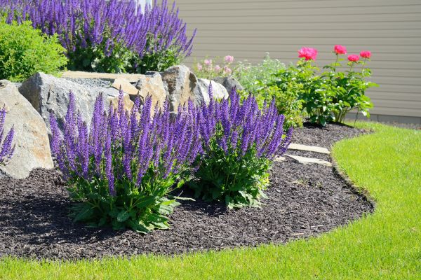 Landscape Planting Service