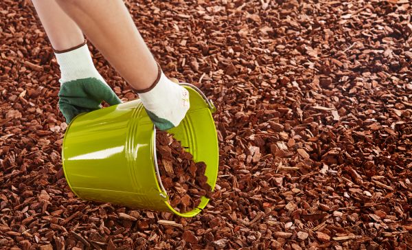 Wood Chip Landscaping in Glendale