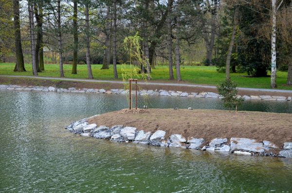 Pond Landscaping Service in Glendale
