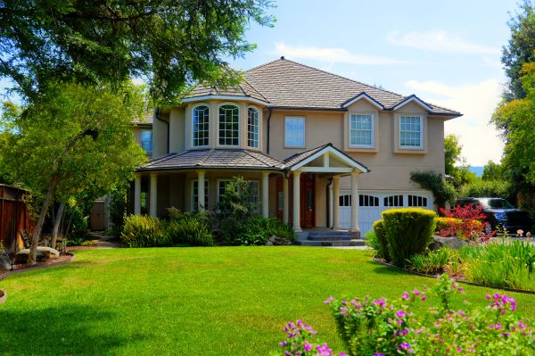 Large Yard Landscaping in Glendale