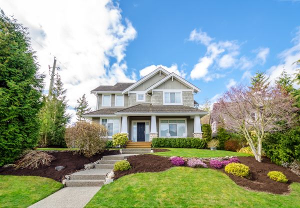 Landscaping Replacement in Glendale