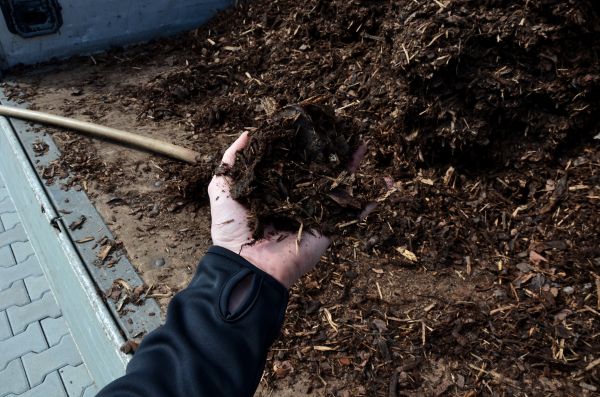Condo Mulching in Glendale