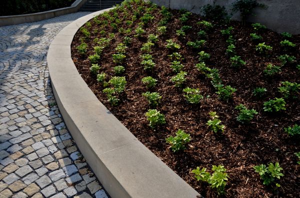 Commercial Mulching in Glendale