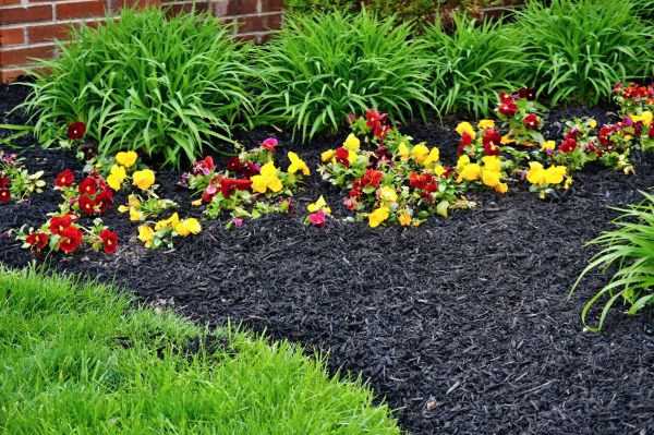 Apartment Mulching in Glendale